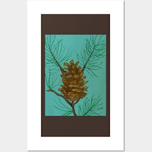 Pine cone Posters and Art